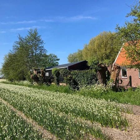 Appels en Peren Bed&Breakfast-2